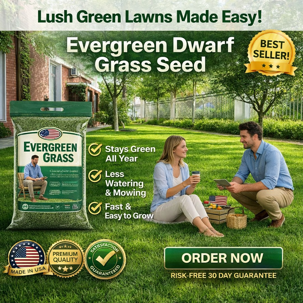 /69d09096fc30c10009205cfa/2026/04/16/product-img-69e11e0f373c02bd69cc08aa.png