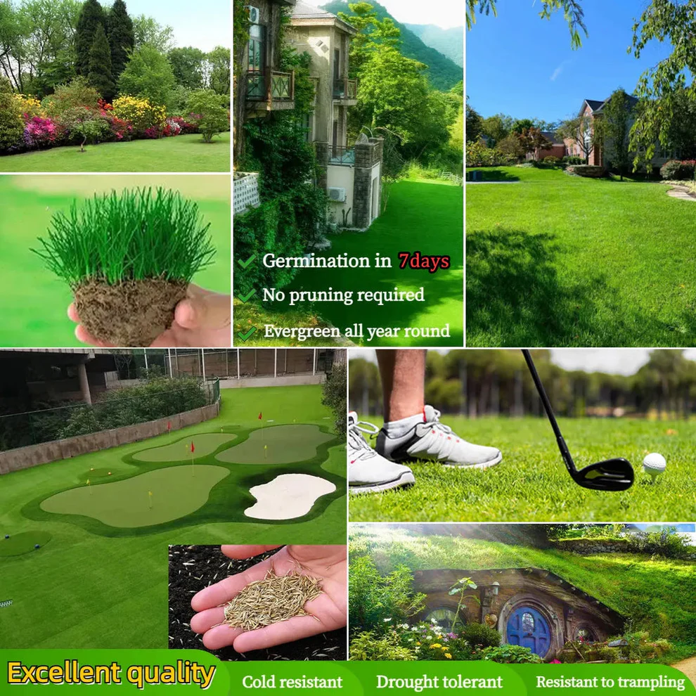 /69d09096fc30c10009205cfa/2026/04/16/product-img-69e11e0f373c02bd69cc08ae.png